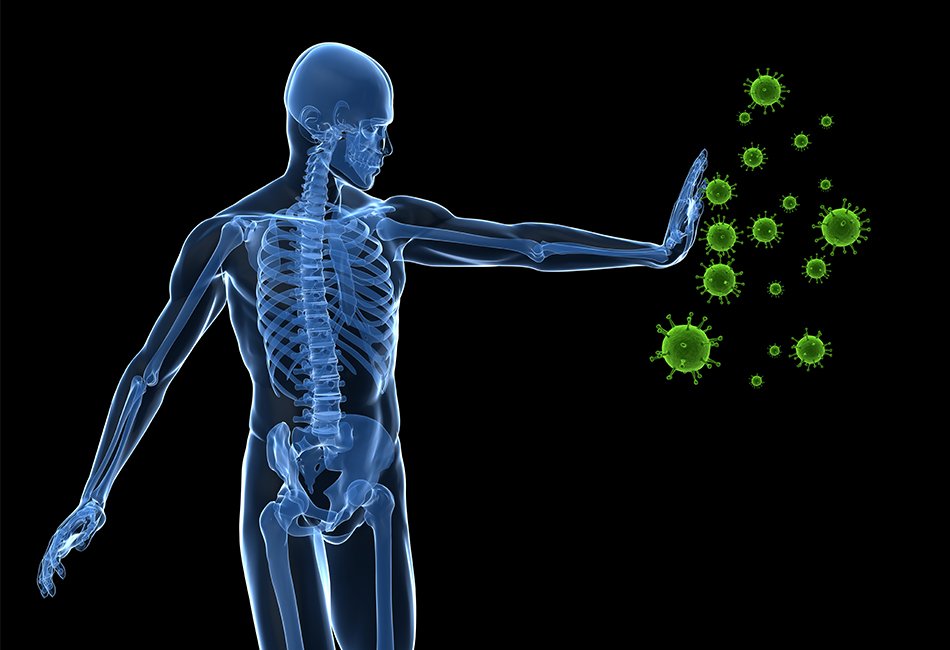 Strategies for Building A Health Immune System - Square One Health