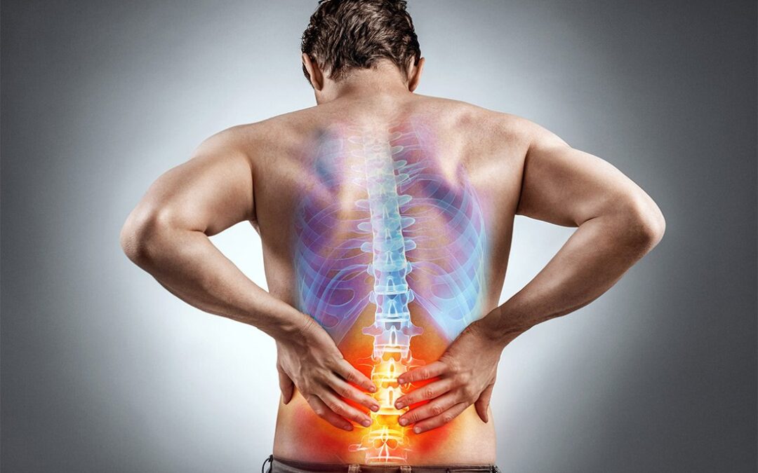 Reduced Immune Function Caused By Chronic Stress, Chronic Pain & Inflammation: Why Good Spinal Health Is Key